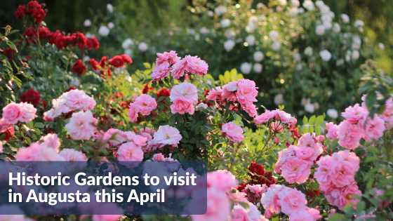 Historic Gardens to visit in Augusta this April | Sprague and Curtis