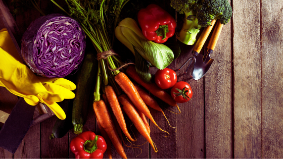 Farm to Table Restaurants