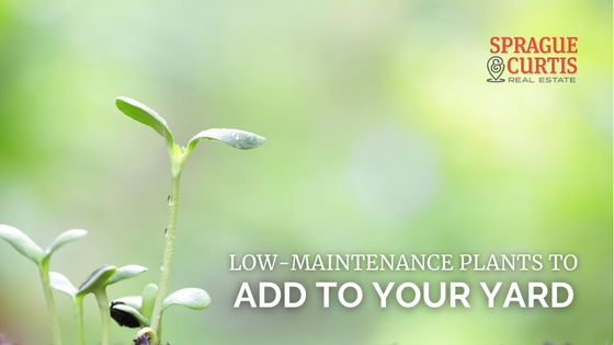 Plants for Landscaping