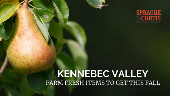 Kennebec Valley Farms